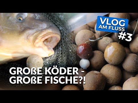 VLOG am Fluss #3 - Große Köder - große Fische?! | Karpfenangeln mit Boilie Big Balls | P.R. Baits