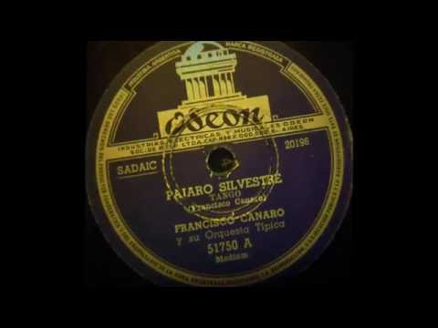 Francisco Canaro - Pájaro silvestre - Tango instrumental