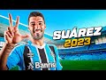 Luis Suárez 2023 ● Grêmio ► All Goals & Assists in HD