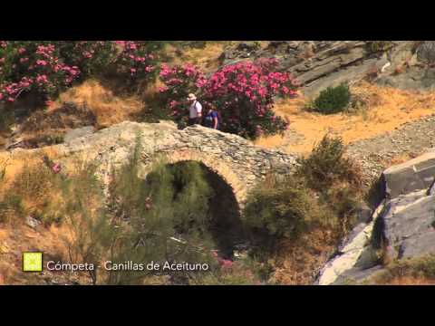 Grand Sentier de Mlaga. tape 7: Cmpeta - Canillas de Aceituno ( franais )