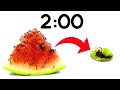 2 Minute Timer [ANTS vs WATERMELON] 🍉🐜
