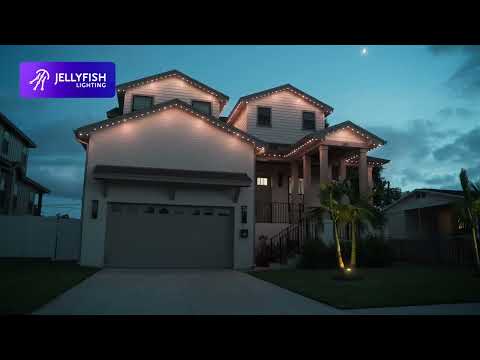 Jellyfish vs Trimlight and other LED Companies