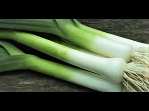 Poriluk od sjetve do berbe