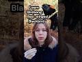 Learn birdsong: Red-winged Blackbird #naturelovers #bird #birdslover #birdsounds #birdwatching