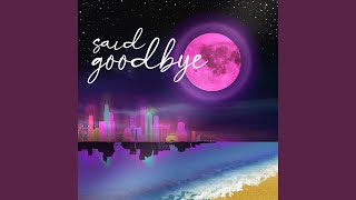 Said Goodbye Music Video