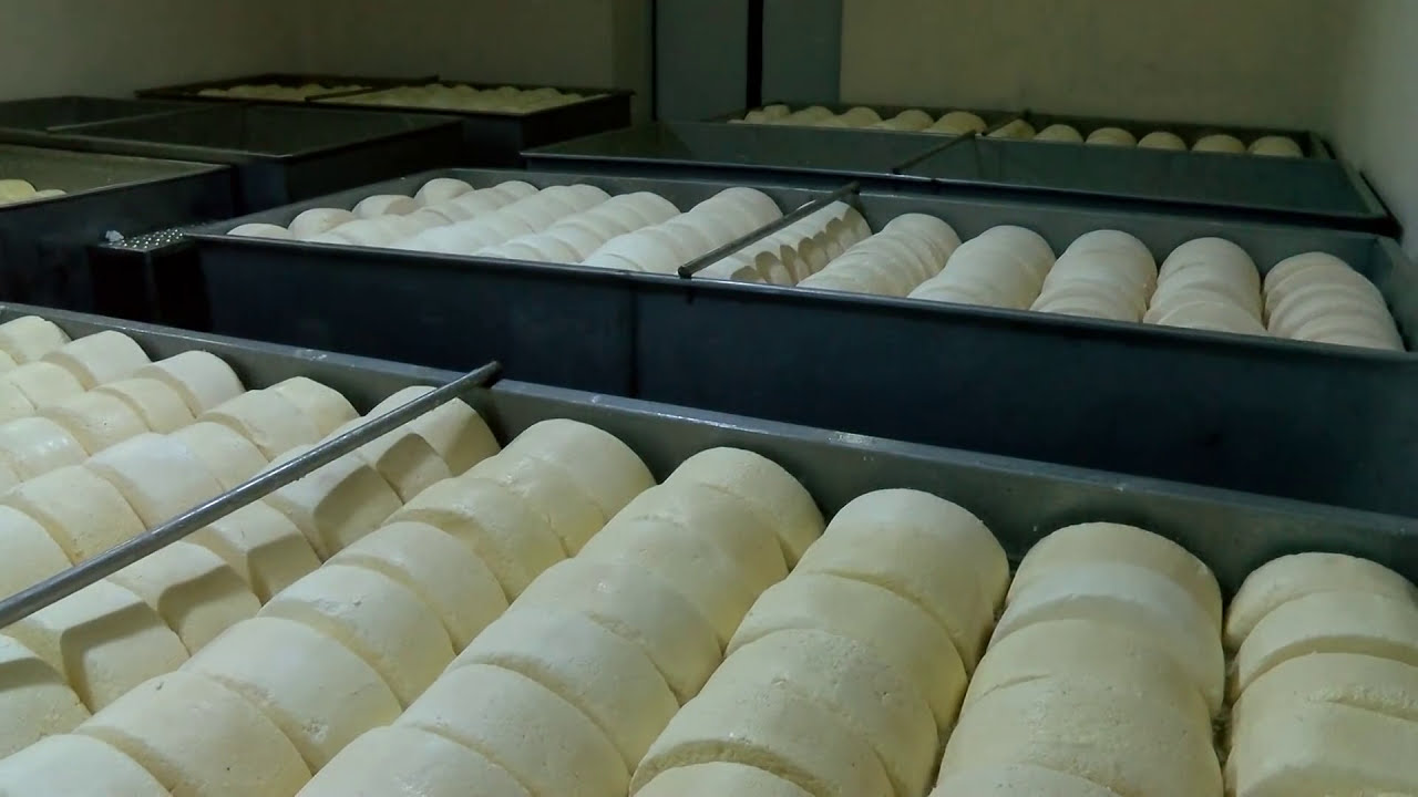 New Meskheti - The dairy factory in Aspindza Municipality