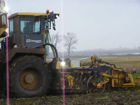 Kampania Buraczana 2017 w Brzysko-Rol