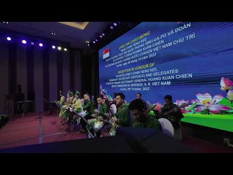 Ilha ensolarada de Singapura - instrumento hoà tấu vietnã