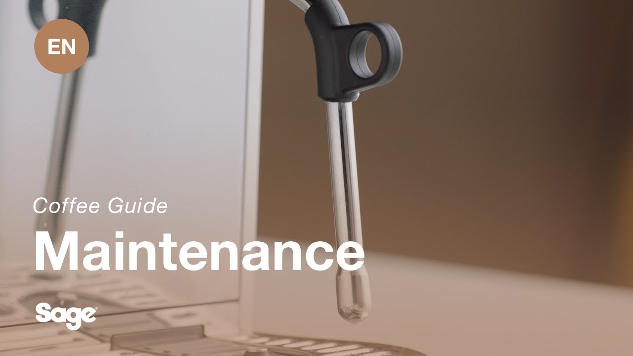 Så här rengör och rensar du ångröret