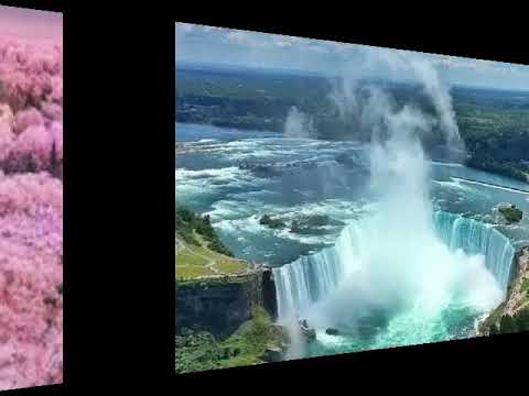 Sasho Roman Moi Angele