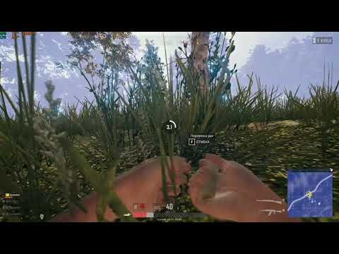 PUBG: Лежать в траве с калашом - не ошибка