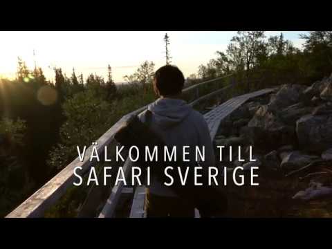 Välkommen till Safari Sverige