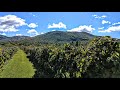 Look Beautiful Apple Orchard Near Gatlinburg