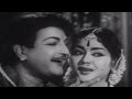 Sri Tirupathamma Katha Poovai Virisina Video Song NTR Krishna Kumari
