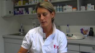 Flöhe und Milben bei Hunden und Katzen richtig behandeln