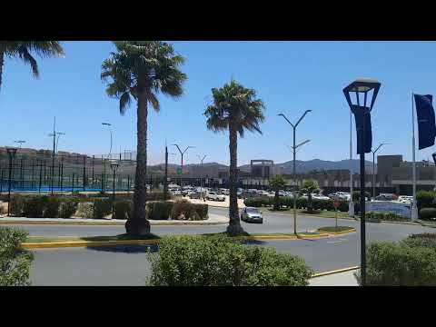 Que conocer en el Gran Valparaiso: Quilpue y Belloto 2000, a 40 minutos de Viña del Mar.