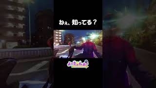 【ねぇ、知ってる？】 盲導犬は信号機の色を判別できないから飼い主が判断してるんだって