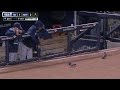 Rays Feed Pigeons On The Field