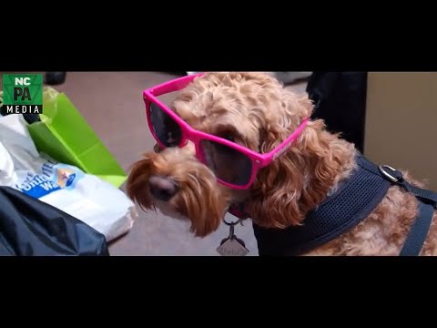 NCPA Media Presents: For you...