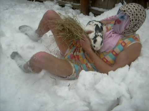 capra bahnaseni omul zapezi 2008