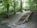 HOLYWELL DENE 2009 