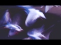 Corde Oblique - Ali bianche 