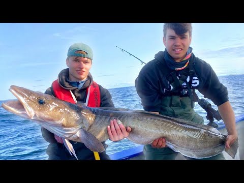 DER FISCH MEINES LEBENS!😱 | DAS NORWEGEN-FINALE | Angeln Flatanger