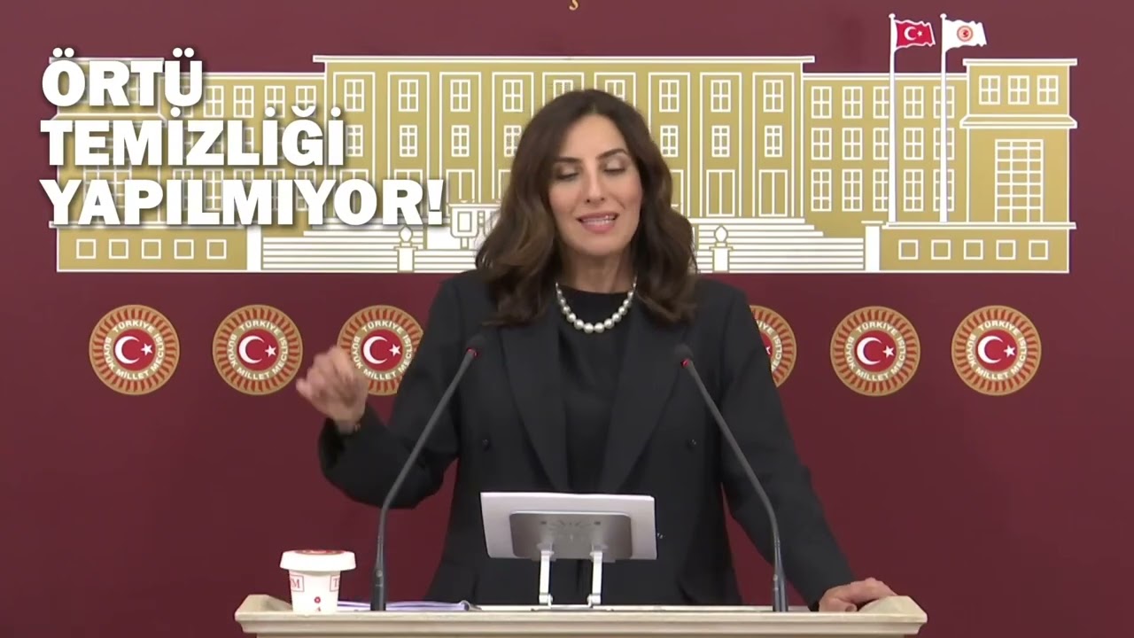 CHP’li Rızvanoğlu: “Orman Yangınları Artık Doğal Değil, Siyasi Bir Felakettir”