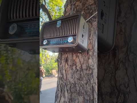 Feira em Boqueirão do Piauí.