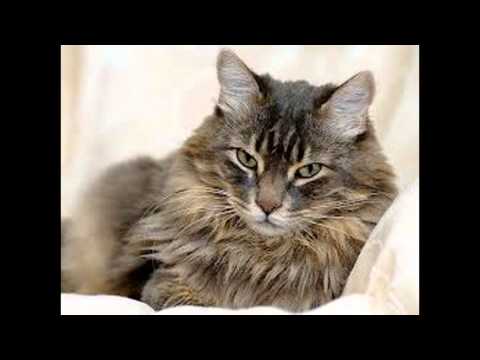 Happy birthday rowena