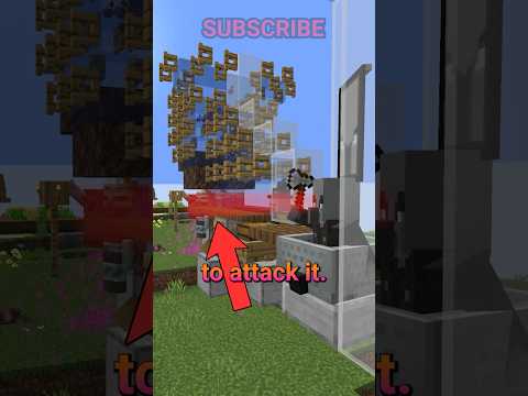 RAID FACTS YOU DONT KNOW!