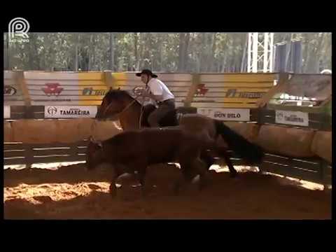 Classificatória Sapucaia (RJ) – 3° lugar machos – SC Dois da Amostra (Prova: Mangueira II)