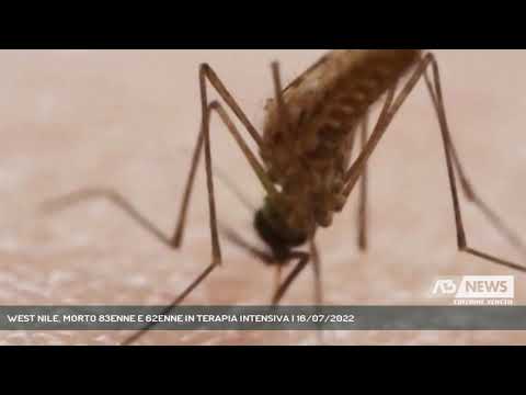 WEST NILE, MORTO 83ENNE E 62ENNE IN TERAPIA INTENSIVA | 16/07/2022