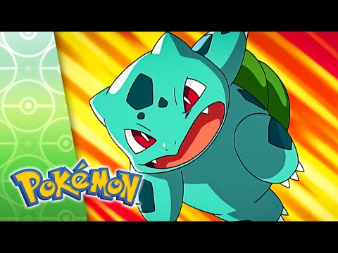 A Six Pack Attack! | POKÉMON FULL EPISODE 31 | Season 7
