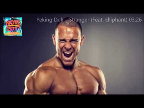 Peking Duk – Stranger (Feat. Elliphant) 03:26