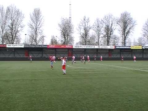 ijsselmeervogels c 1 - zwaluwenutrecht1911 c 1.  2 - 2