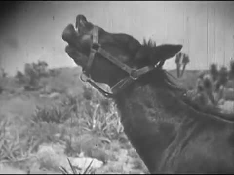 A Desert Span, Building Trunk Telephone Lines (AT&T)