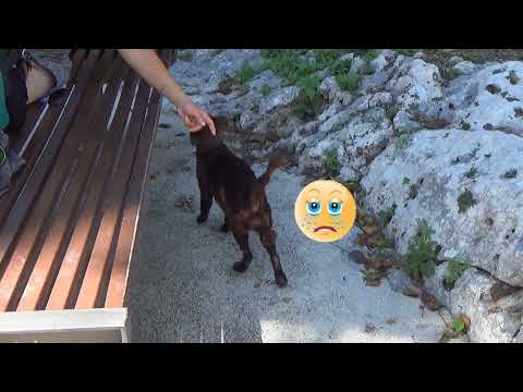 Sicílie 2021- Syracuse I, Neapolis Archaeological Park, Catacombs San Giovanni, 10.díl