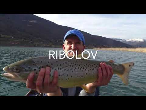 🇲🇪|Plav's Lake