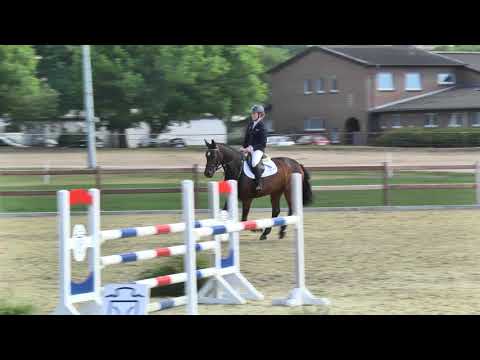 Holsteiner Sommerauktion | Nr. 9 - Calla v. Catoo - Calato