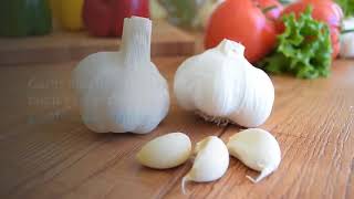 Top 5 Natural Fungus Fighters II Organic TV