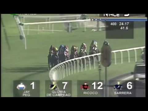 2009 Singapore Airlines International Cup G1 - Glória de Campeão (冠軍風采) - TJ Pereira (58倍)