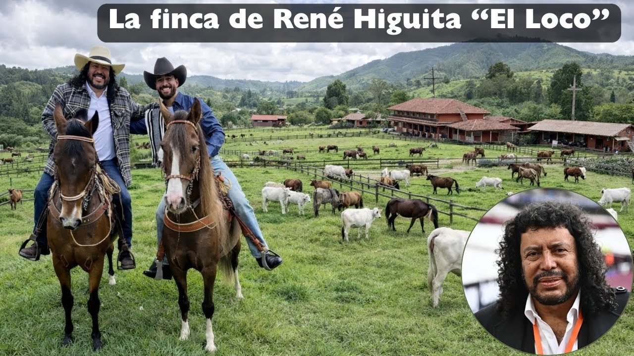 YouTube Thumbnail Downloader FULL HQ IMAGE