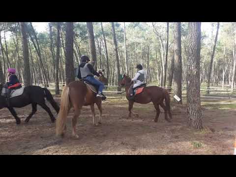 19/10/20 jeu du "poney maudit"