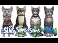 Sims Sims 2 Sims 3 Sims 4 Cats