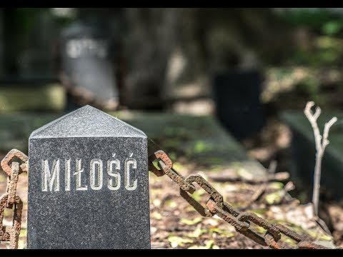 Warszawa - Polski Cmentarz Żydowski. Polish Jewish Cemetery. Okopowa