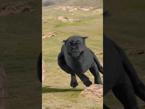 Amazon Obhijaan #banglafilm #bengalimovie #bengalicinema #ekminute