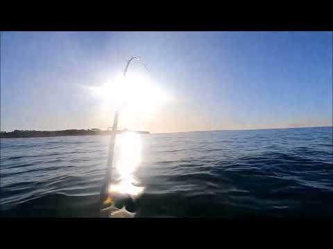 The Pete's Fishing NZ - The Smiths lure hooks up.