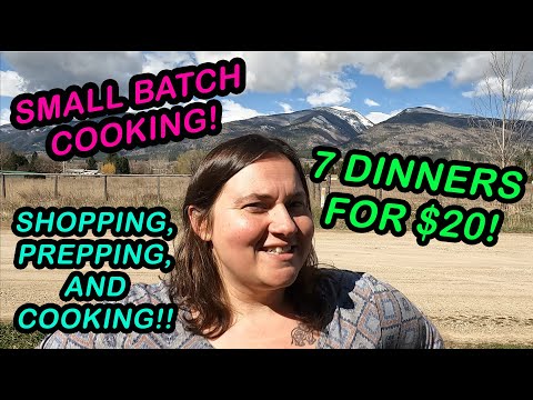 Collaboration with Southern Frugal Momma! 1 Person. 7 Dinners. $20. Can it be DONE?