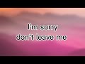 I M Sorry Don T Leave Me Lyrics Song New Song 2025